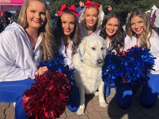 dog on the boulevard with cheerleaders from SMU