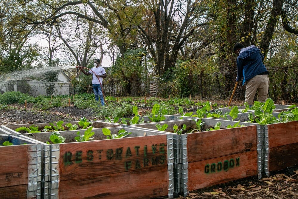 Restorative Farms is a cooperative that helps combat food deserts.