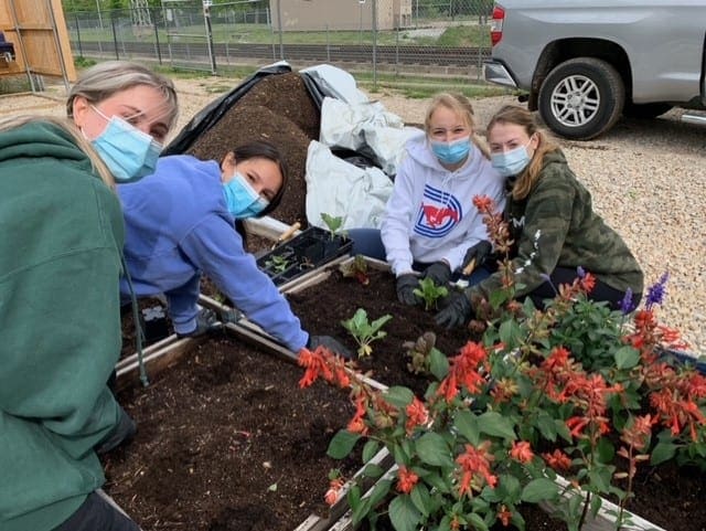 SMU students get their hands dirty planting and harvesting at Restorative Farms.