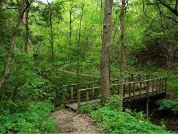 Image of a trail at Cedar Ridge Preserve